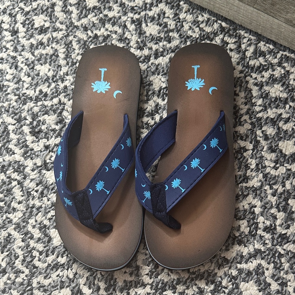 Brown and Blue Flip Flops with Palm Tree Design